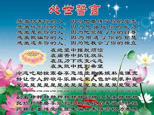 迈瑞bc20血芒果体育球仪(迈瑞bc10血球仪)